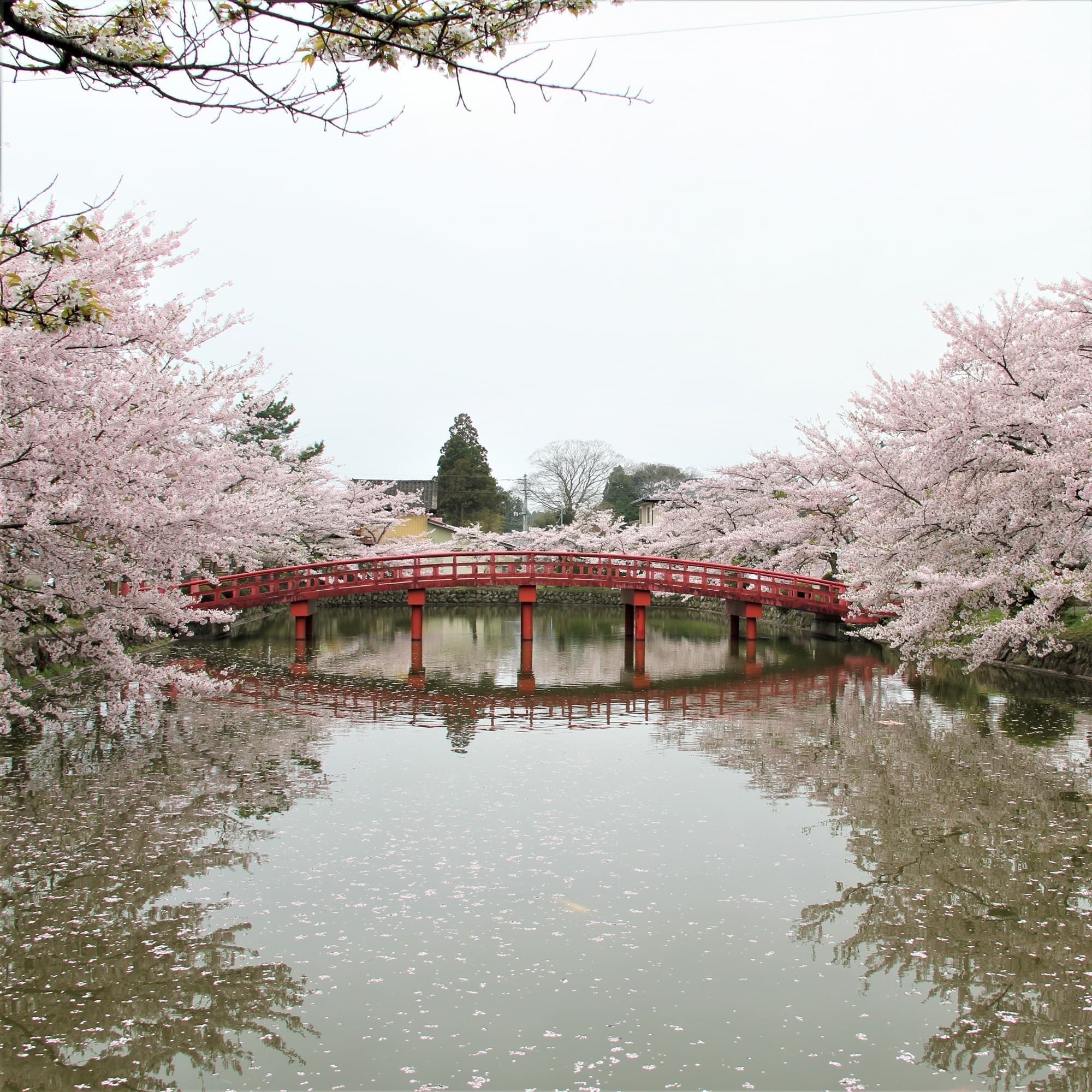 元禄8年に相馬中村藩5代藩主相馬昌胤が放生会を行うために掘った池で、池は放生池、架かる橋を神路橋と昌胤が命名しました。