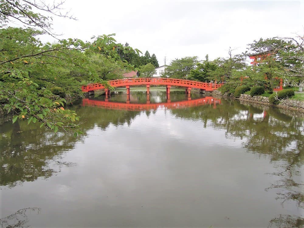 涼ヶ岡八幡神社　放生池