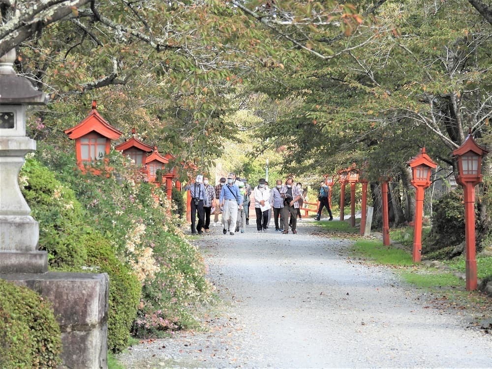 涼ヶ岡八幡神社　参道