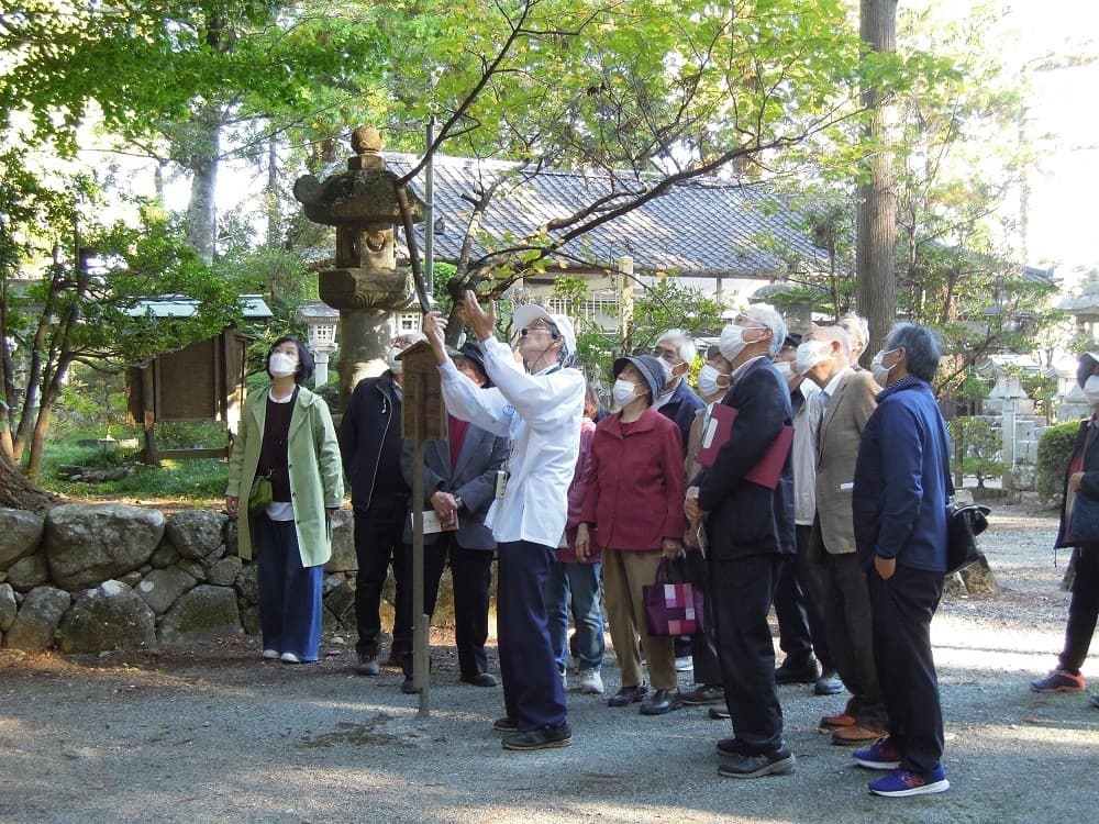 涼ヶ岡八幡神社　カヤラン　マツラン