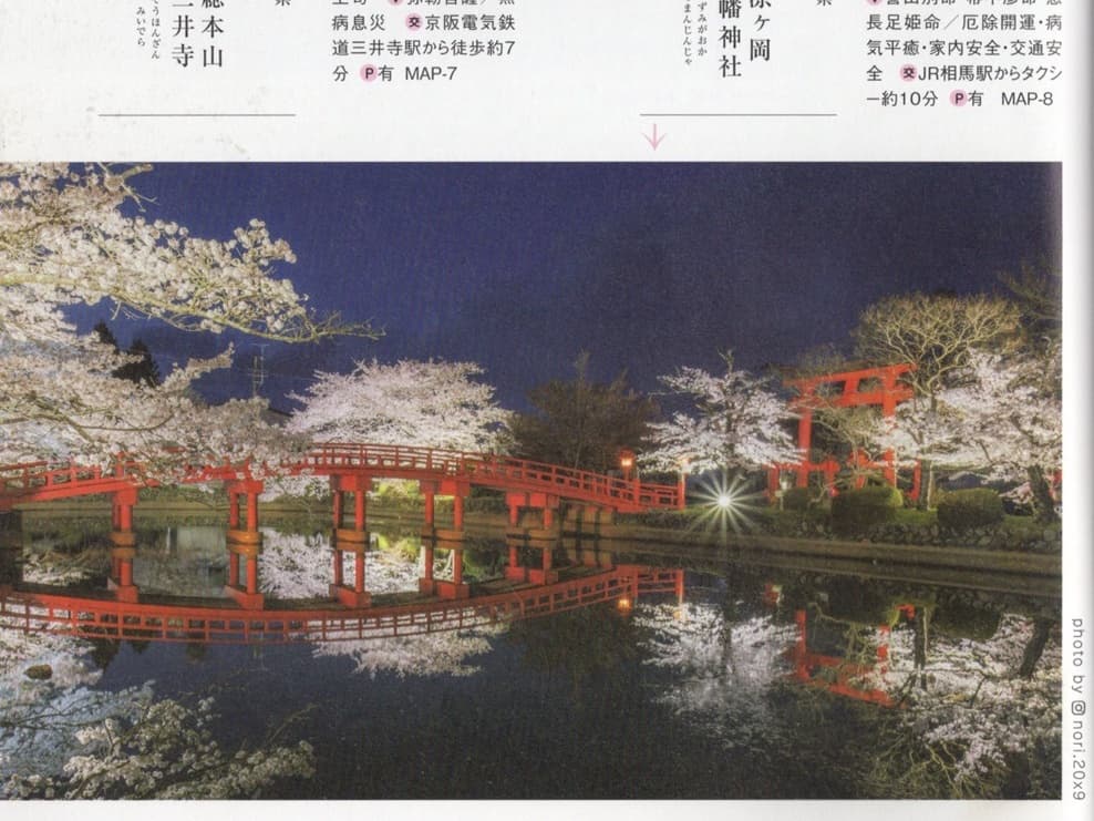 涼ヶ岡八幡神社　桜　ライトアップ　角川　にっぽんの花地図　