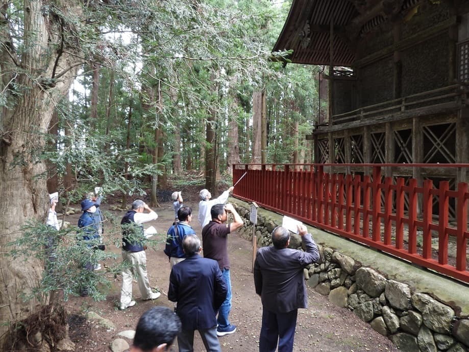 涼ヶ岡八幡神社