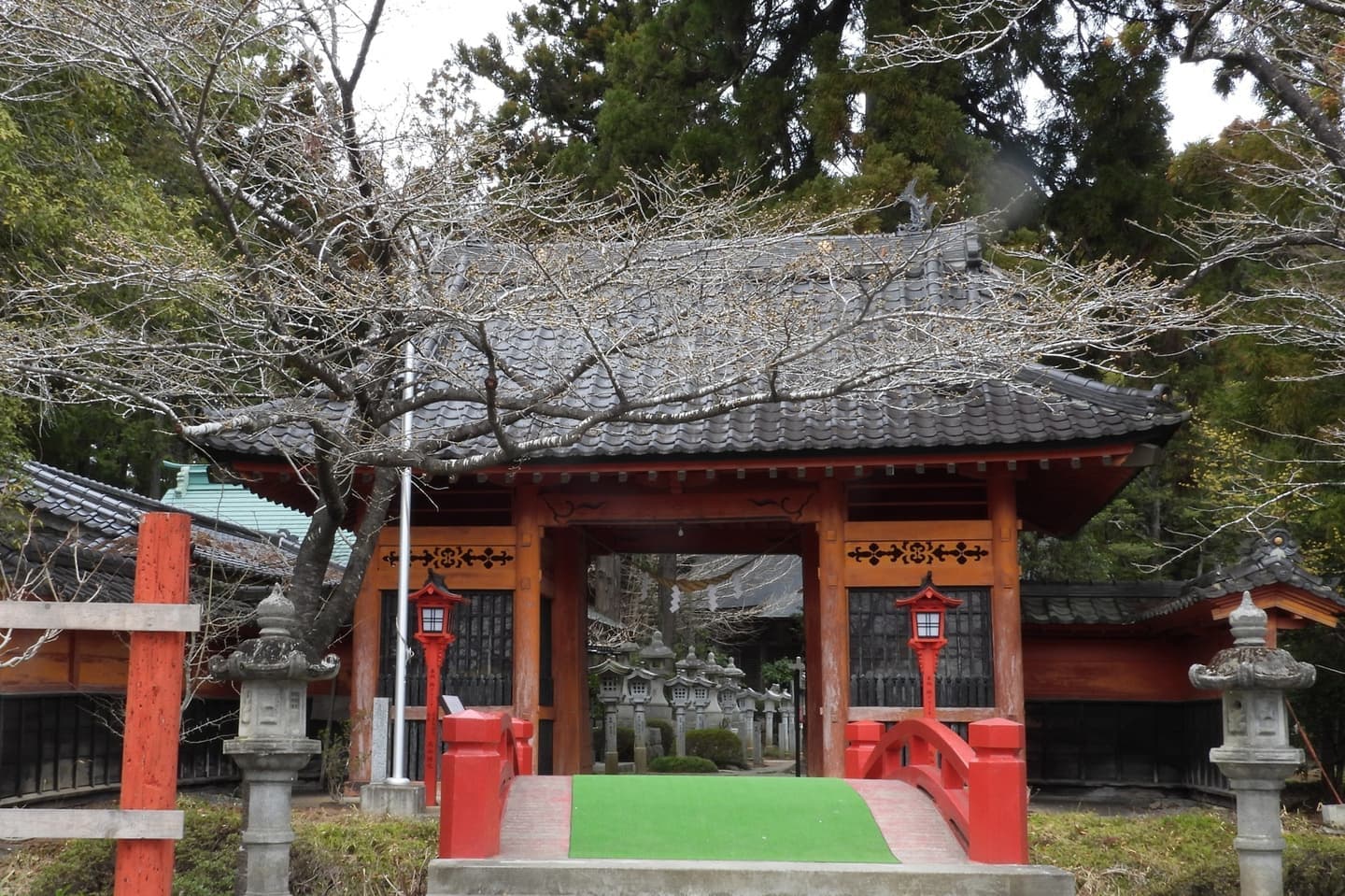 涼ヶ岡八幡神社　桜　開花情報　