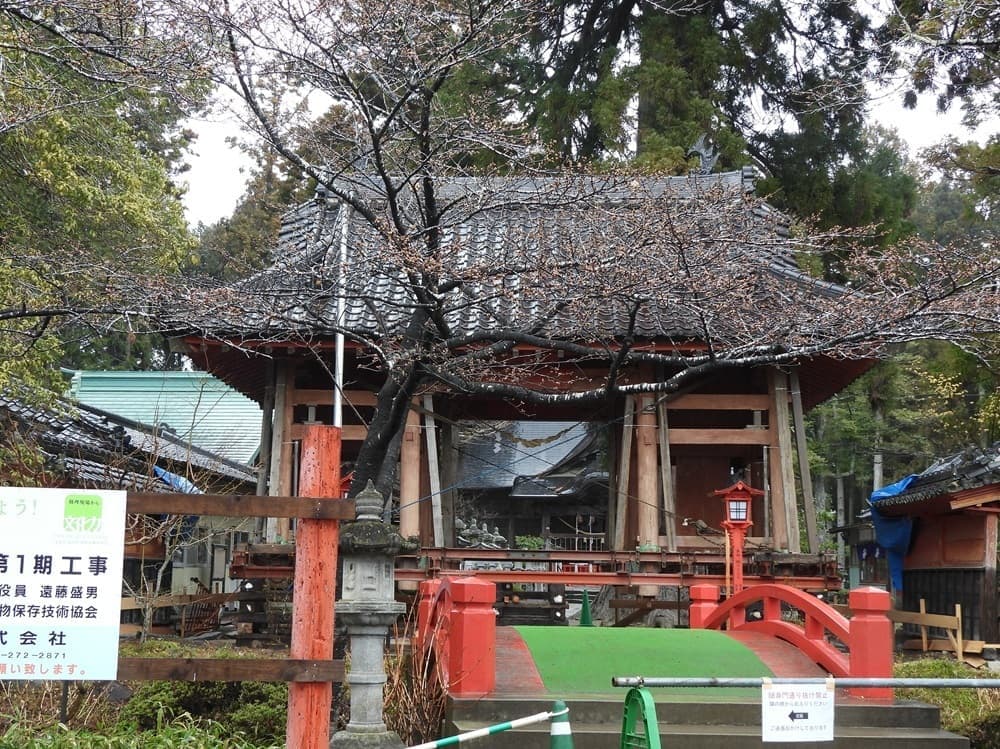 涼ヶ岡八幡神社　桜　