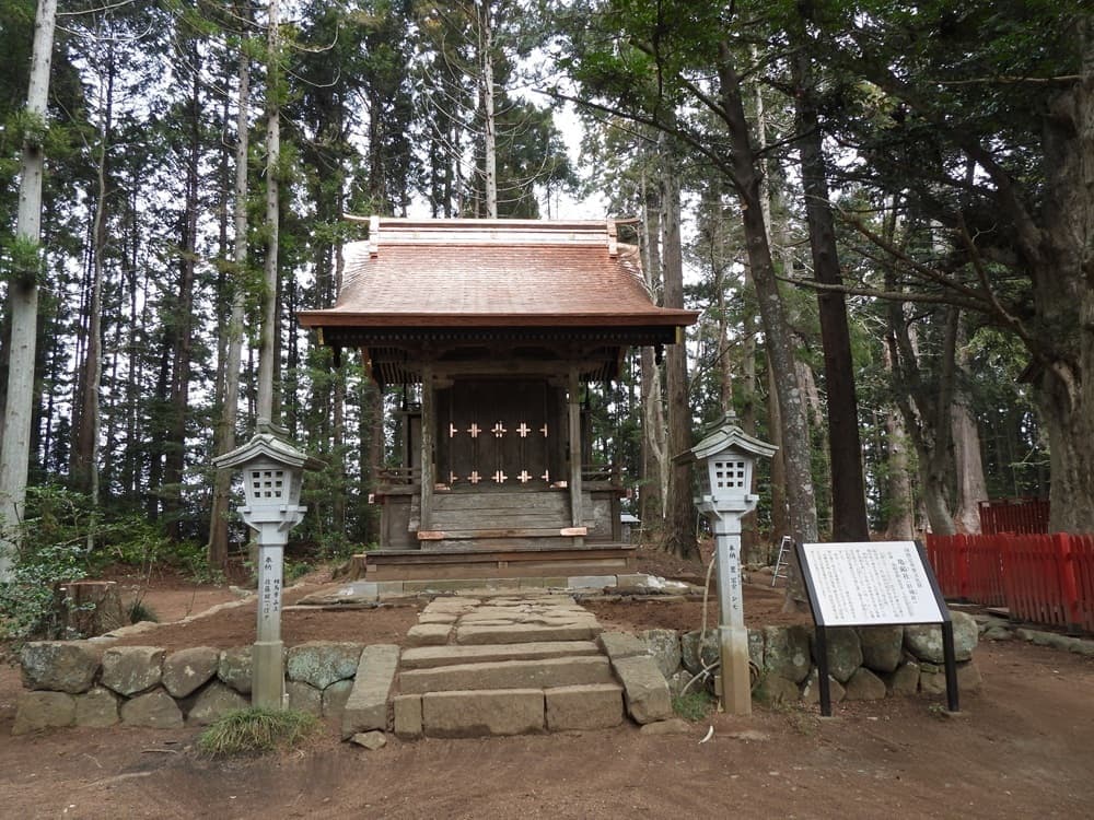 涼ヶ岡八幡神社　どんと祭